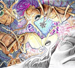 Ant Dream by Judah Fansler. Mixed media, graphite, ink pens, marker