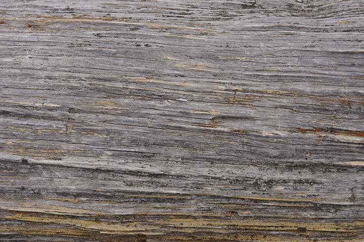 Free High Resolution Texture Download: Grunge Wood Grain